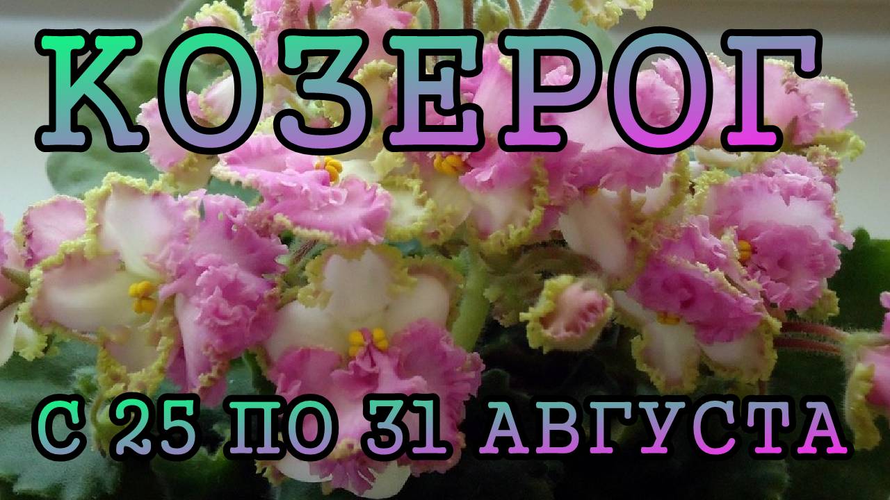 КОЗЕРОГ таро прогноз на неделю с 25 по 31 АВГУСТА 2025 года.