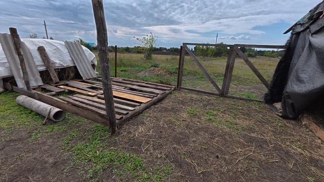 Один день из жизни в деревне. Купили лес. Неприятность однако...