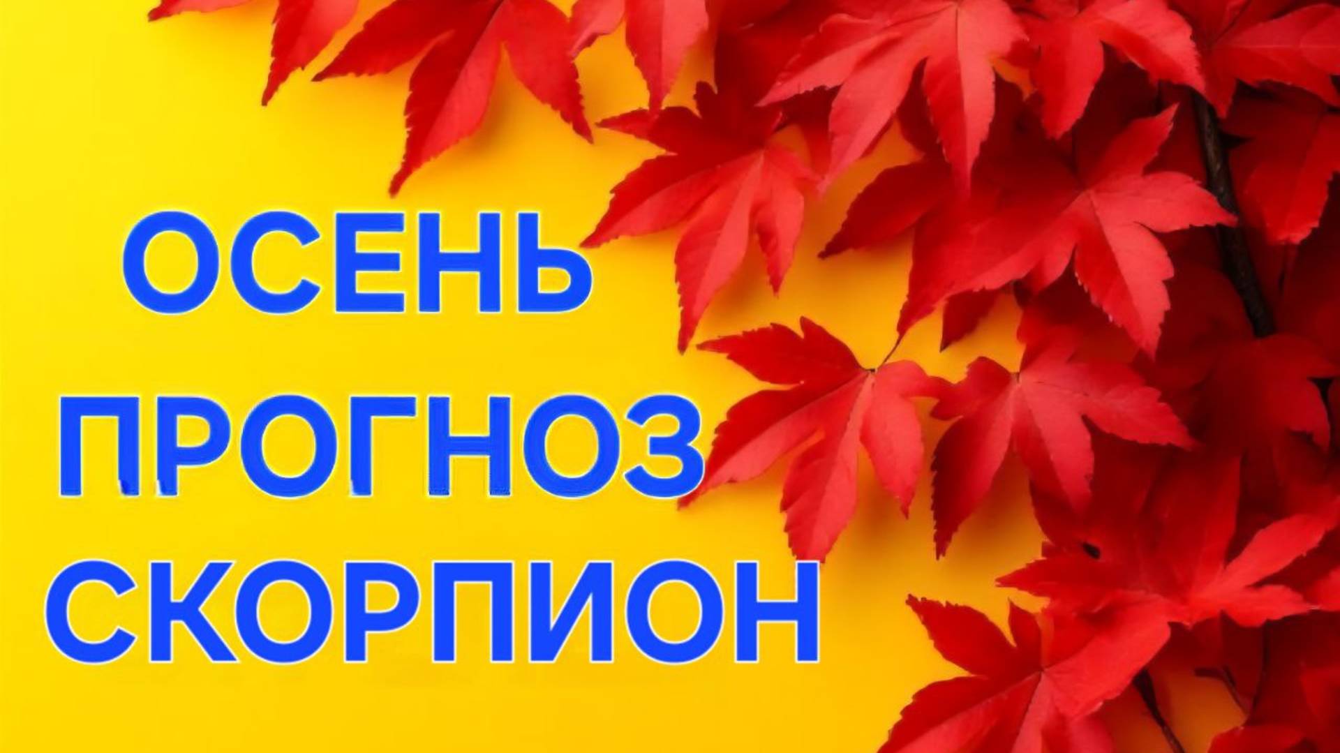 СКОРПИОН. ТАРО ПРОГНОЗ НА ОСЕНЬ
