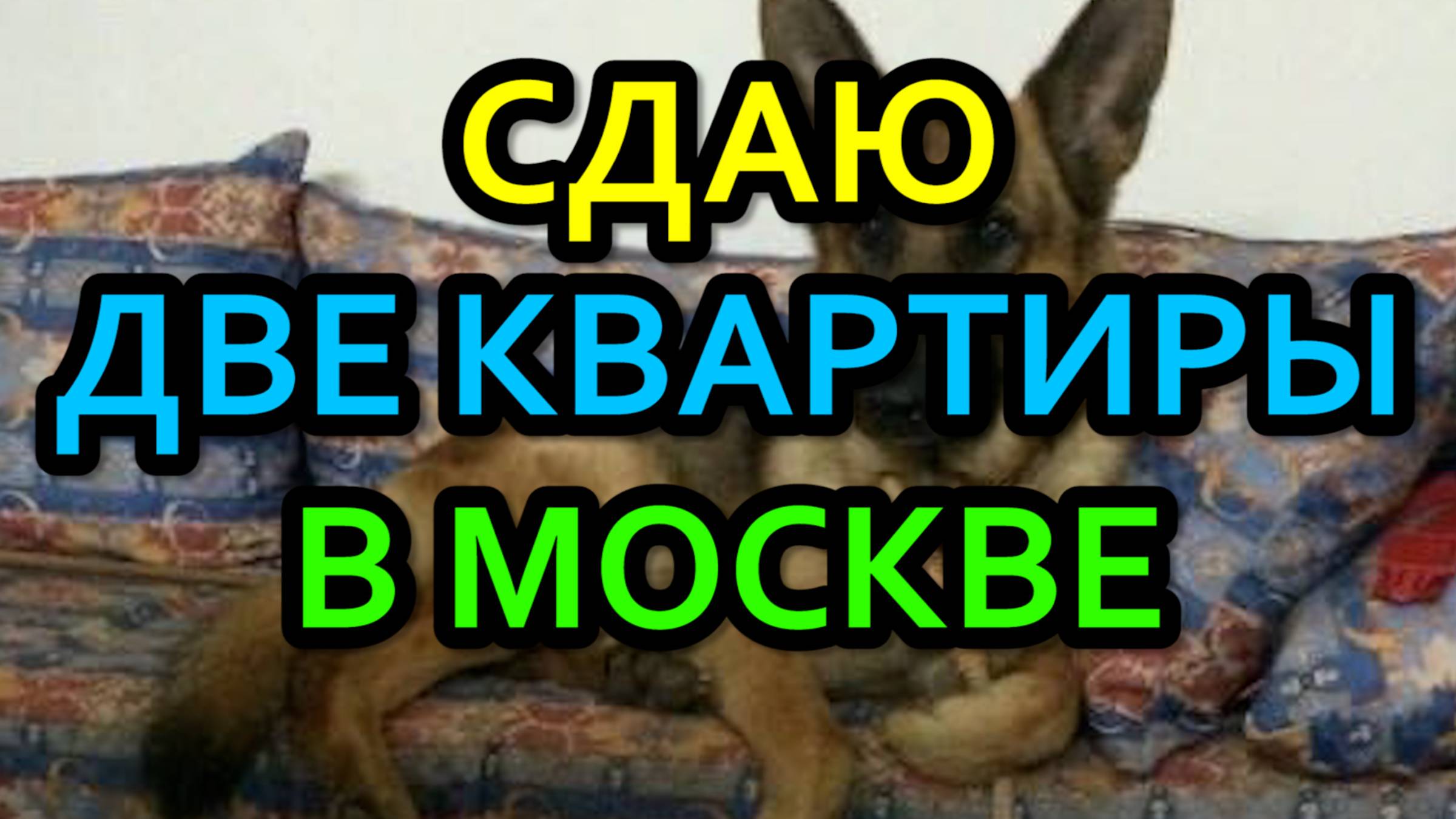 ЗК #83 [ПОСЛЕДСТВИЯ ОБНОВЛЕНИЯ]