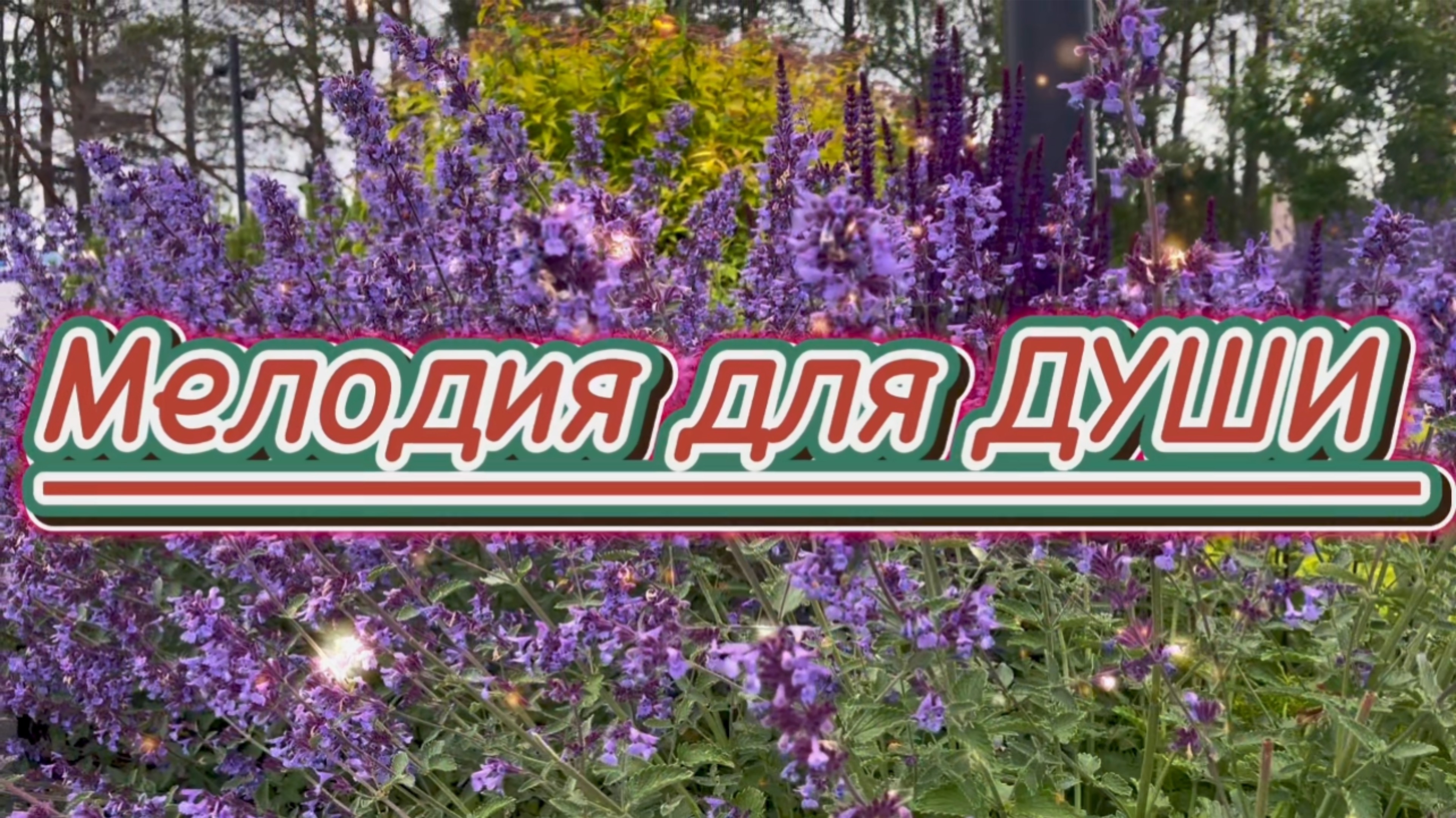 Мелодия для души, великолепная гитара и красивое фортепиано