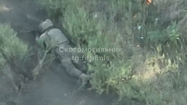 🔴Фашист везунчик, не 200, а попал в плен🔴