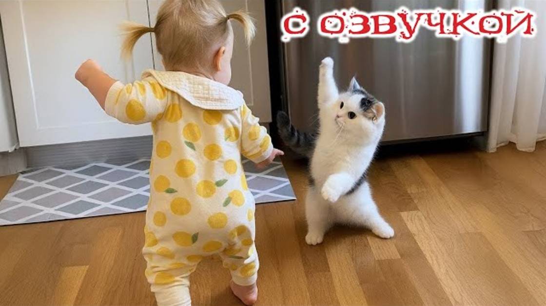 Приколы с котами! С ОЗВУЧКОЙ! Смешные коты и собаки! САМЫЕ СМЕШНЫЕ ЖИВОТНЫЕ! Угар!