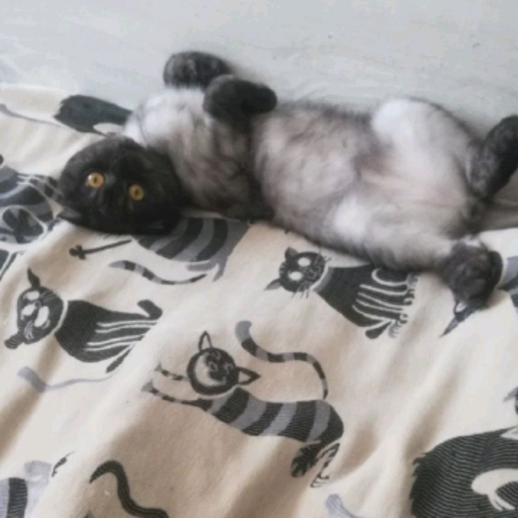вопрос ответ💋