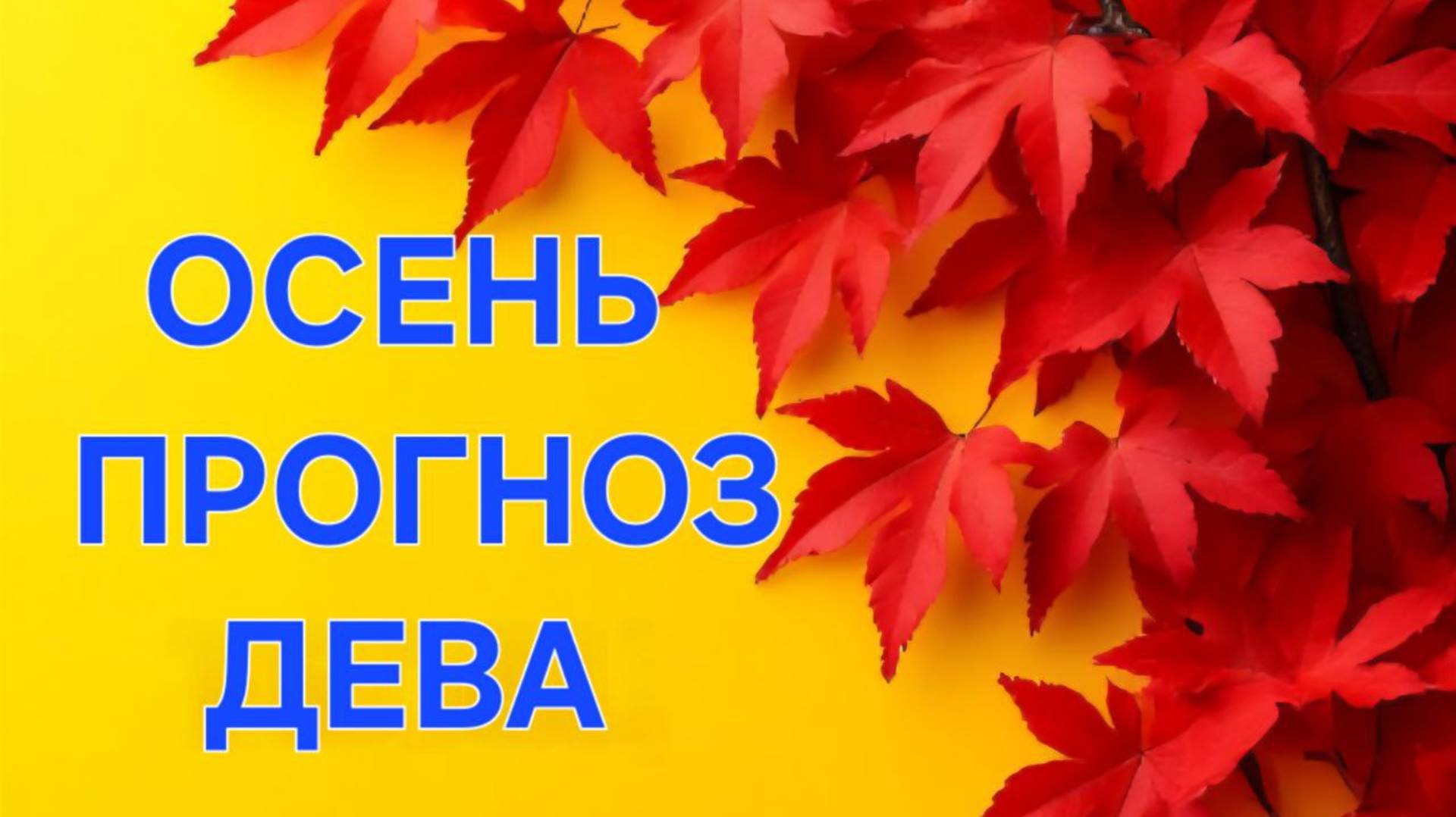ДЕВА. ТАРО ПРОГНОЗ НА ОСЕНЬ
