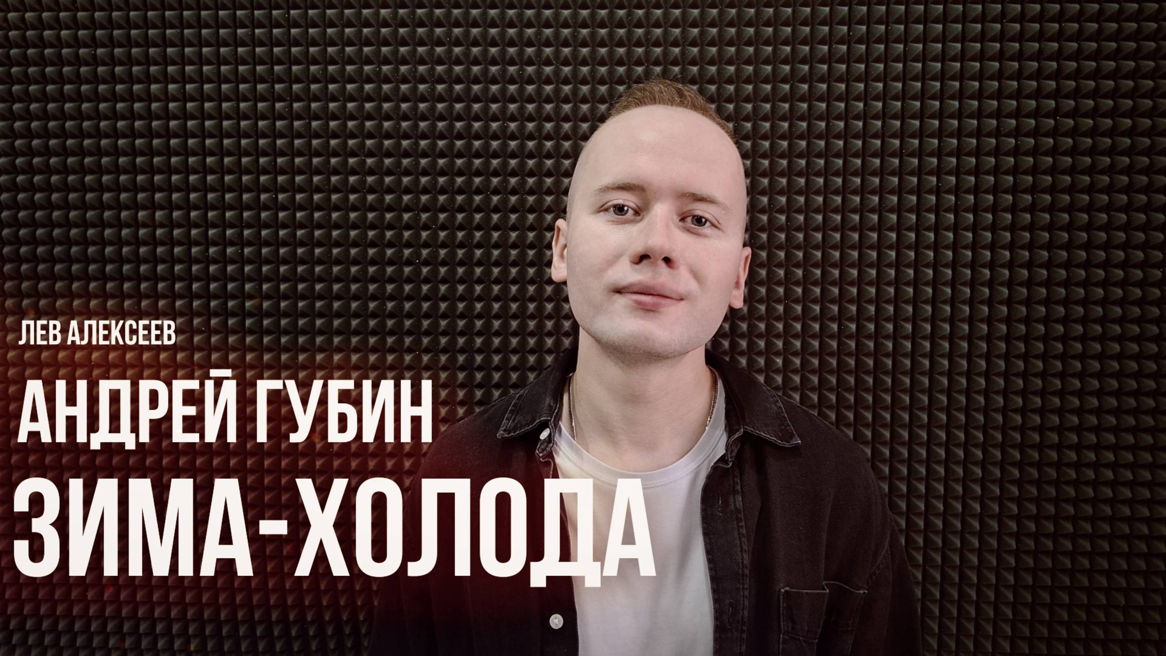 Андрей Губин - Зима-холода (Кавер 2025 / Лев Алексеев)