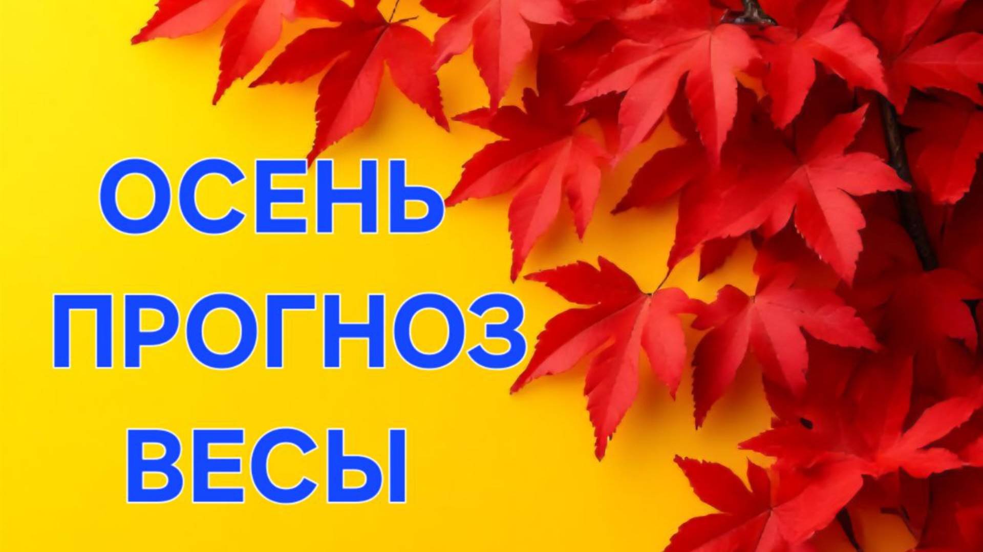 ВЕСЫ. ТАРО ПРОГНОЗ НА ОСЕНЬ