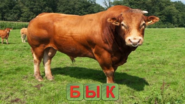Мульт-развивашка! Развивающий детский мультфильм.