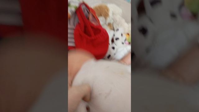 1000035598.mp4
