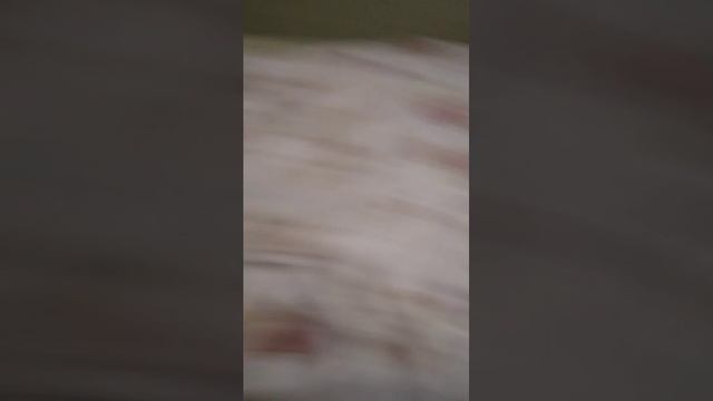 в