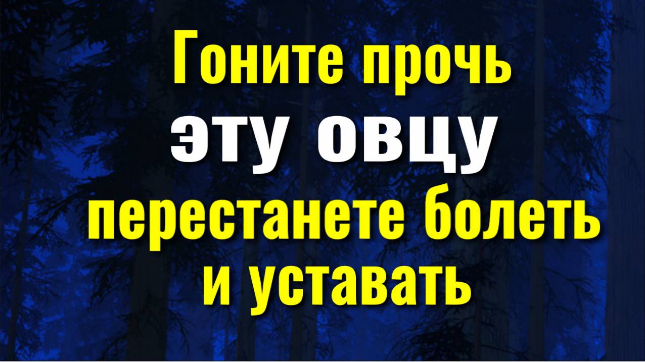 Энергии будет как в 20 лет! Гоните в шею эту овцу и вы перестанете уставать и хворать