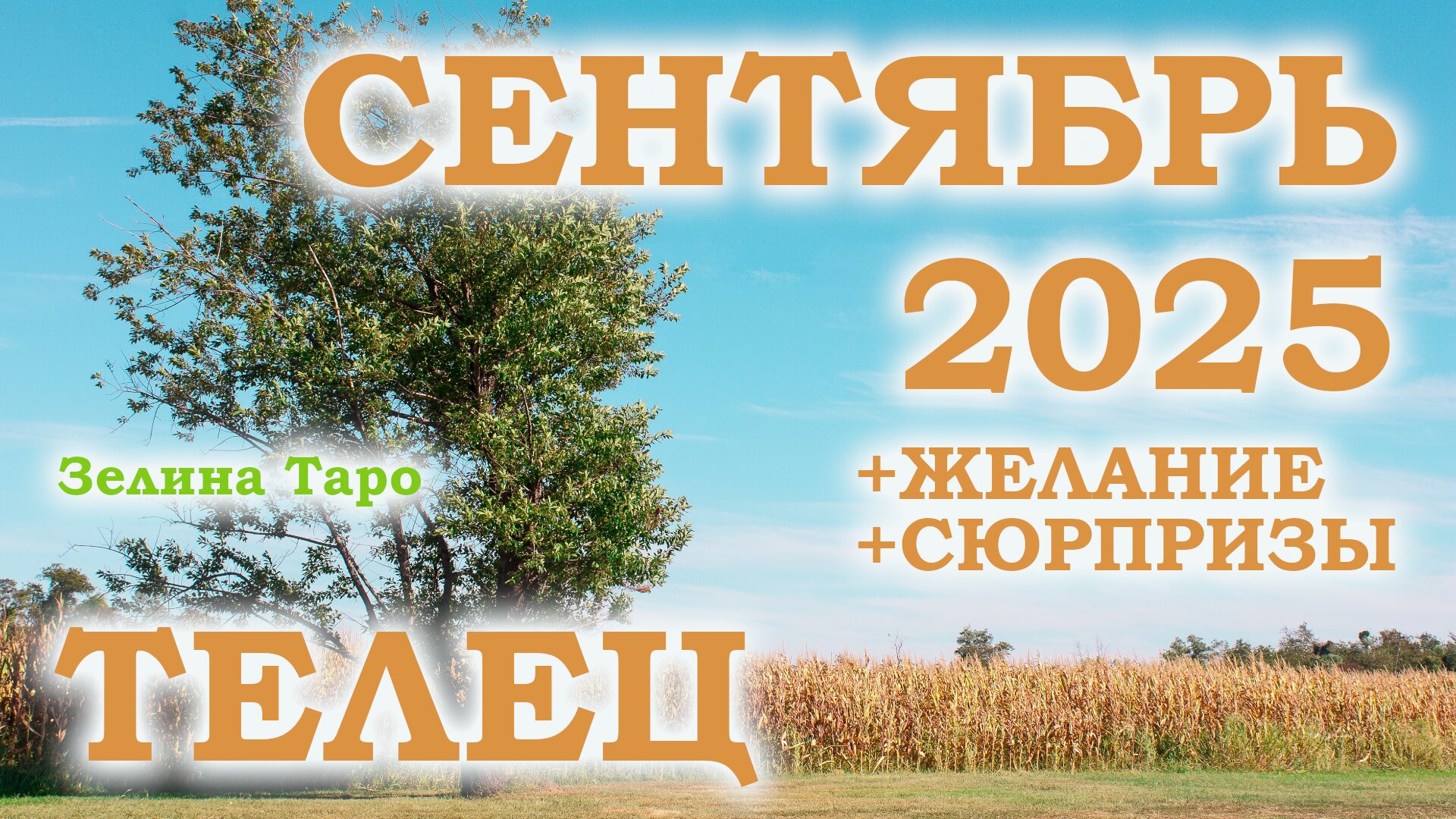 ТЕЛЕЦ | ТАРО прогноз на СЕНТЯБРЬ 2025 года | Желание | Сюрпризы | Расклад таро