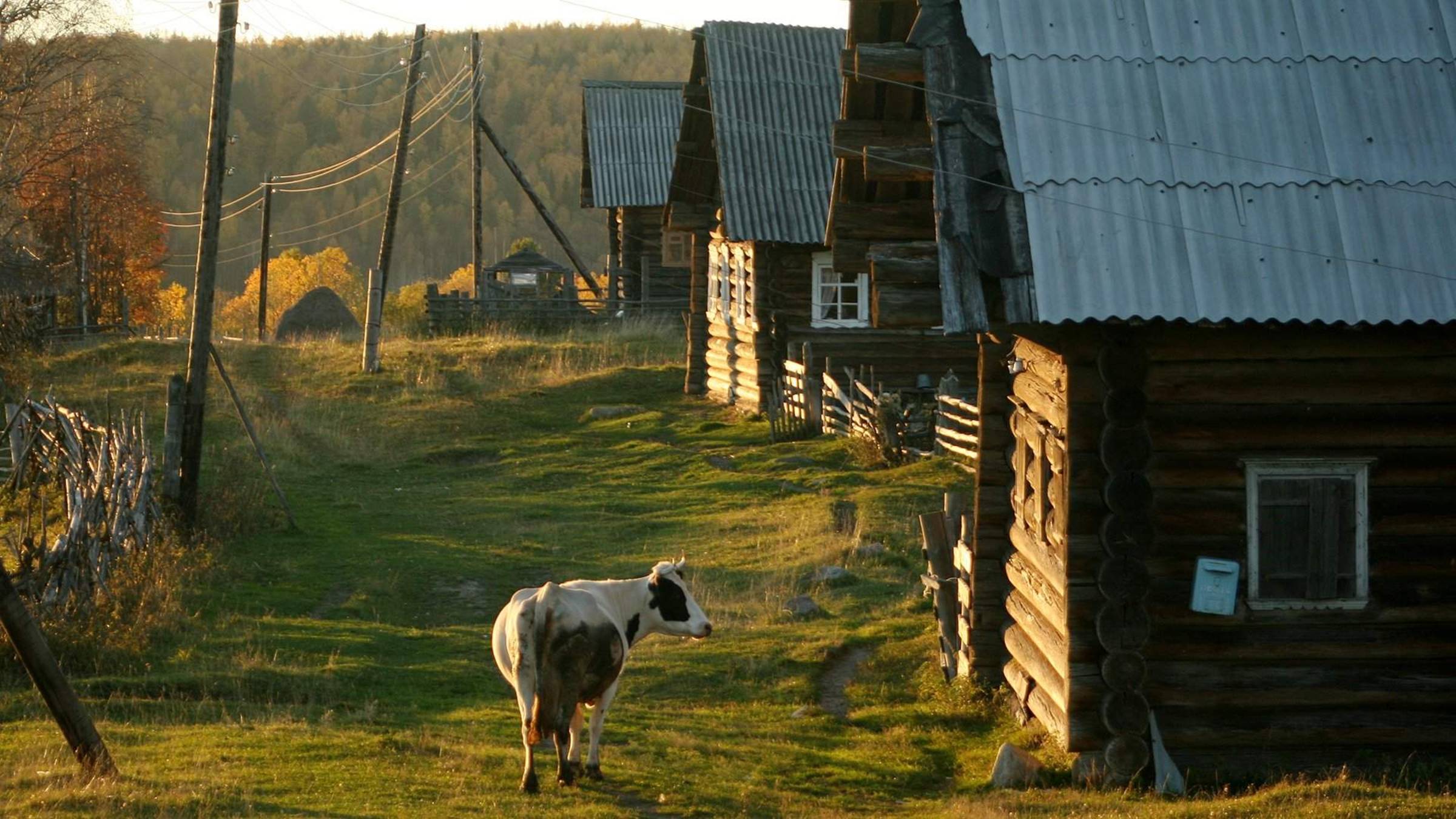 Мистика. Сборник историй про деревню и Сибирь.