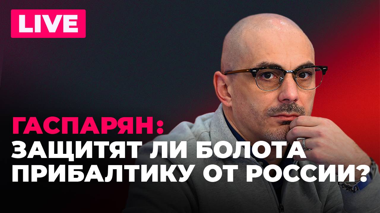 Дрон ВСУ атаковал Эстонию, Польша против Украины в ЕС и компромат Грузии против Запада