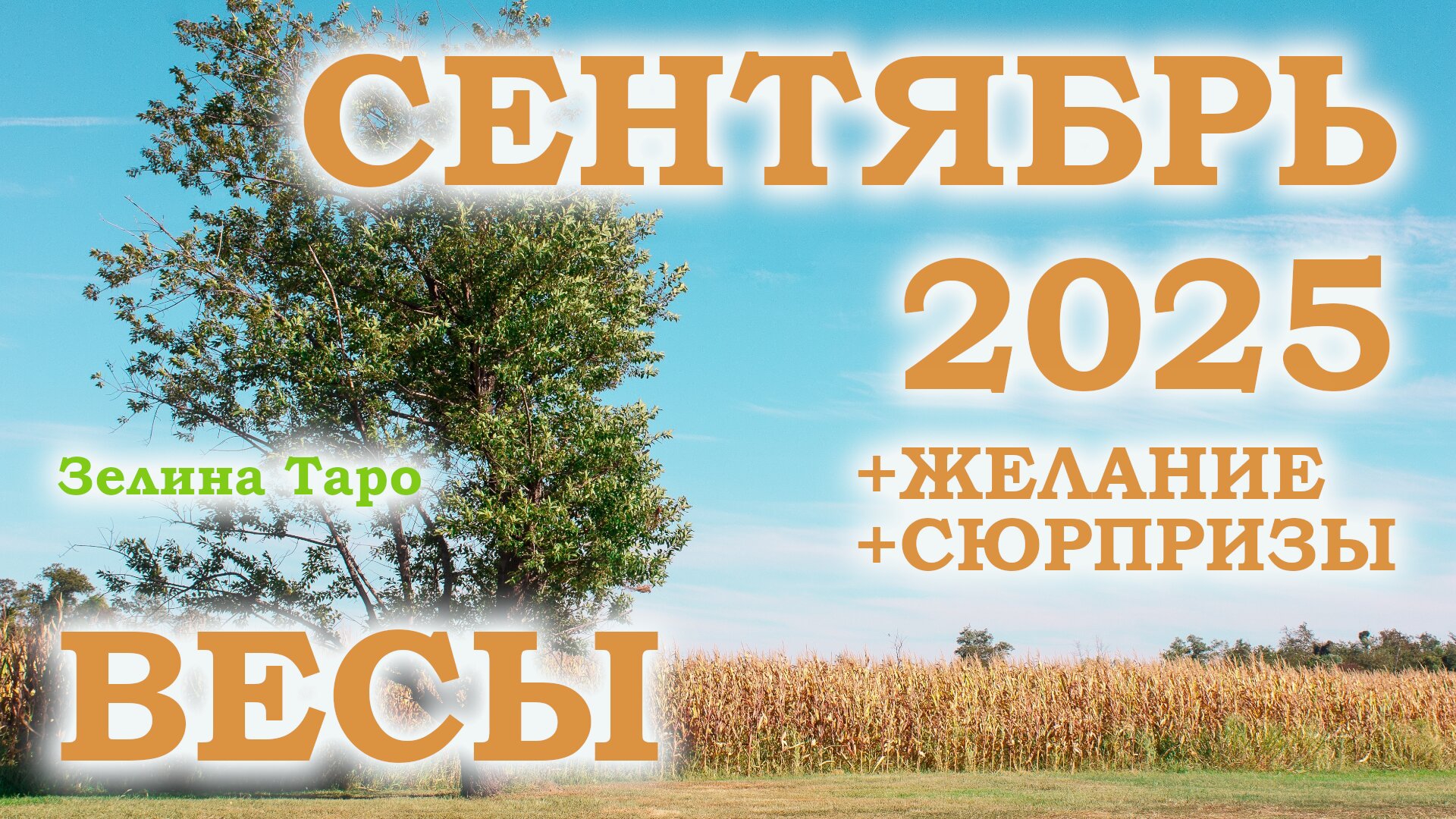 ВЕСЫ | ТАРО прогноз на СЕНТЯБРЬ 2025 года | Желание | Сюрпризы | Расклад таро