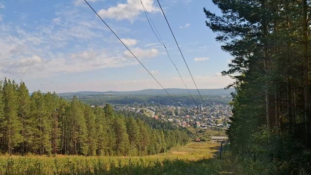 продолжение прогулки по лесу