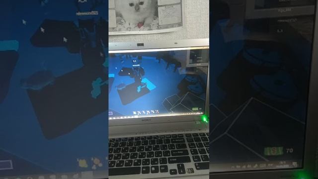 ТРАНСЛЯЦИЯ ТУТА