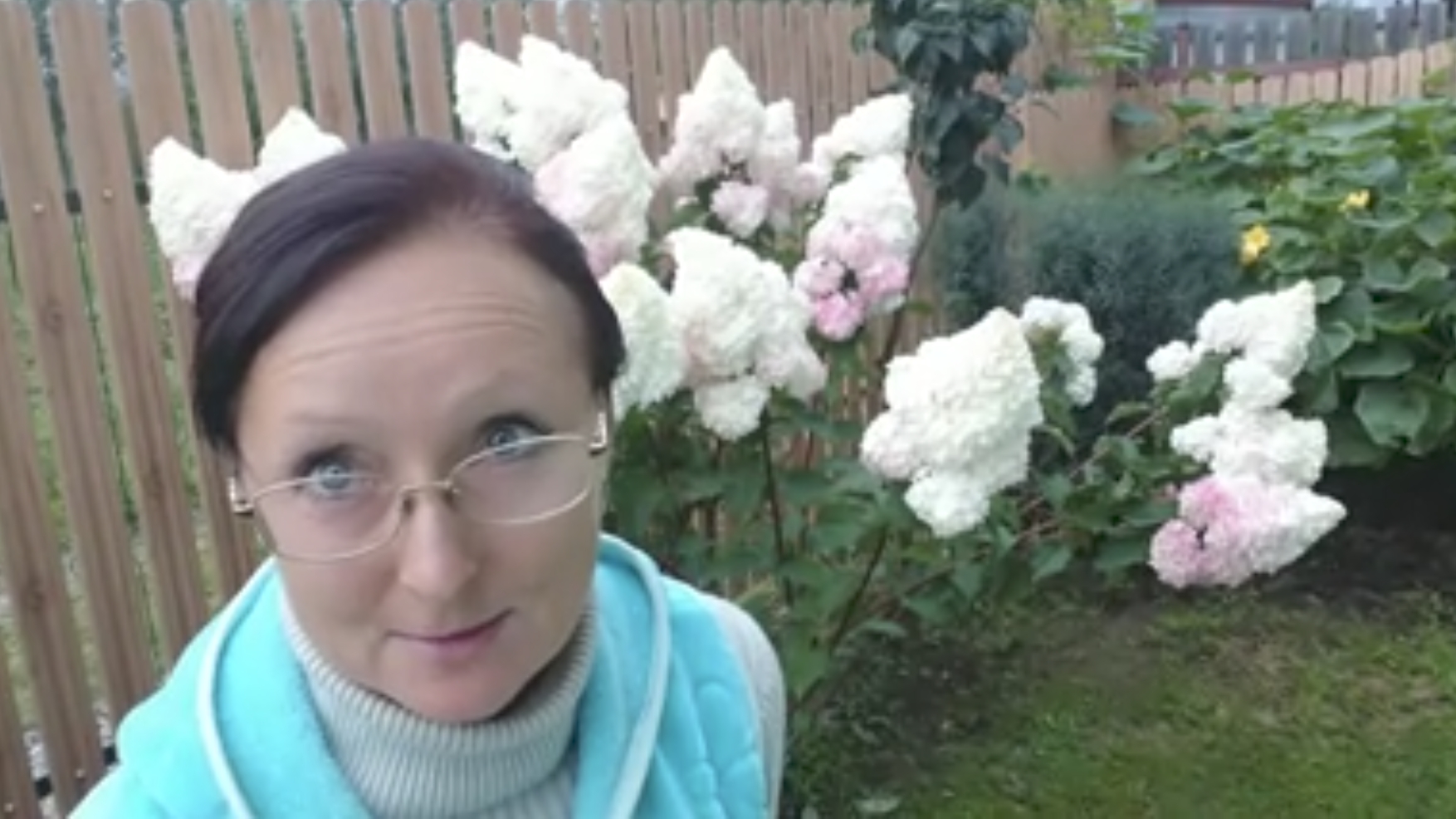 Видео привет с 6 соток 23 августа 2025 года