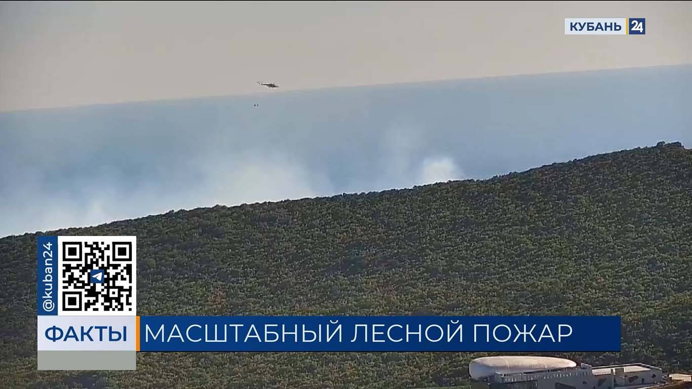ФАКТЫ. Выпуск от 26.08.2025