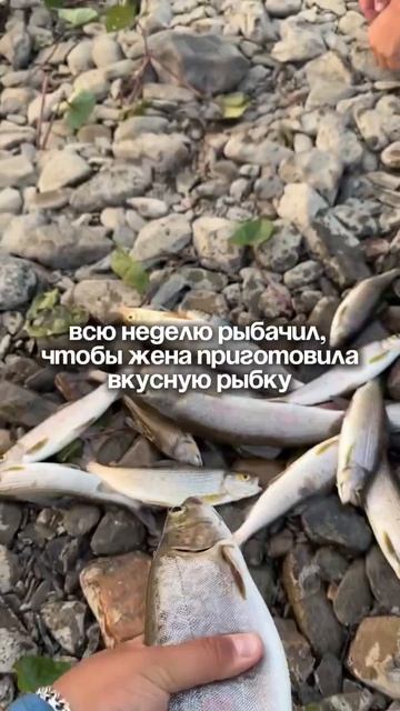 Не поели рыбки!