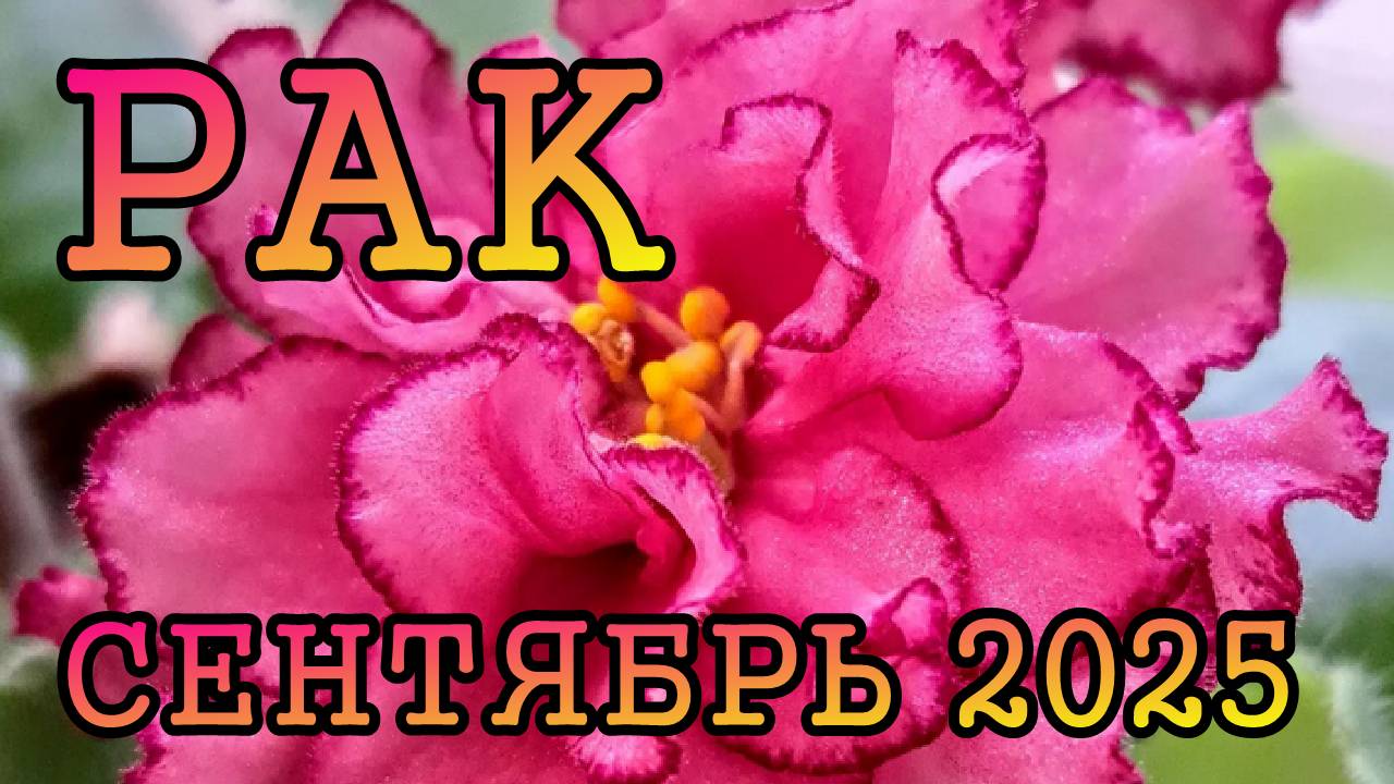 РАК таро прогноз на СЕНТЯБРЬ 2025 года.