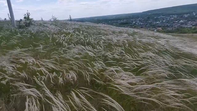 Пеньковая гора.