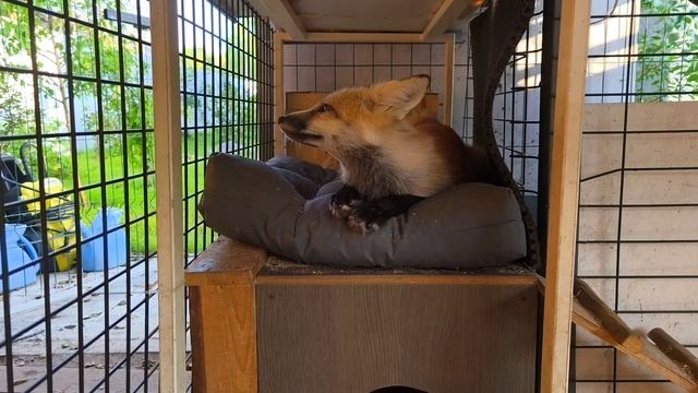 зажигаем под радио MAXIMUM