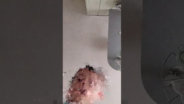 обливаю себя водой