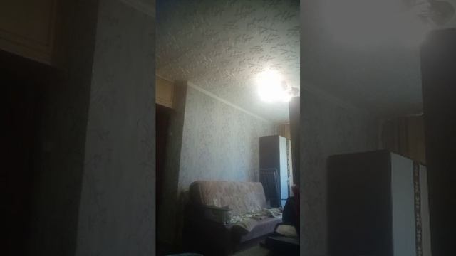 мой день