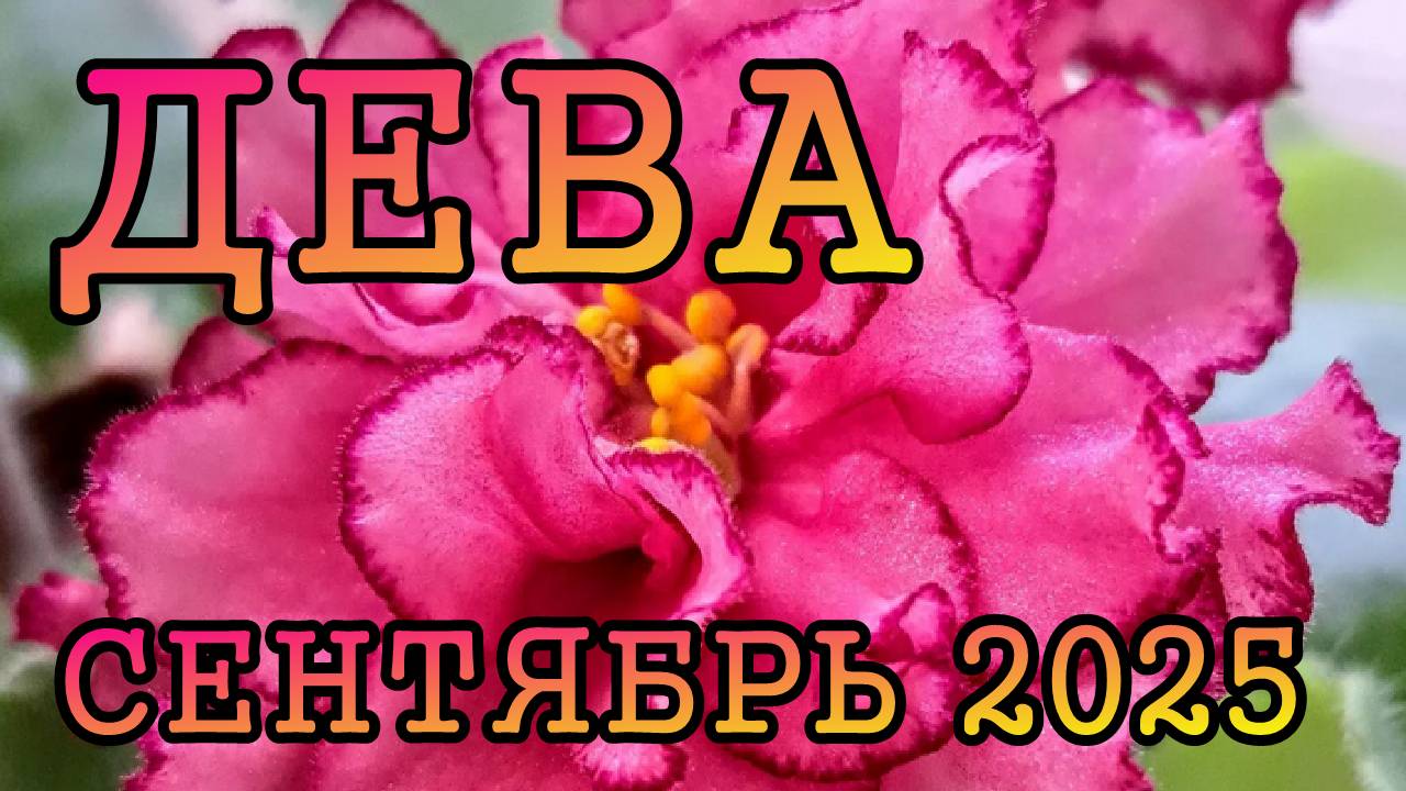 ДЕВА таро прогноз на СЕНТЯБРЬ 2025 года.