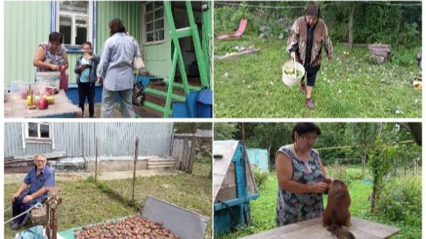 27-08-2025. Жизнь в деревне: Хроника дня - Дела житейские, работаем и отдыхаем