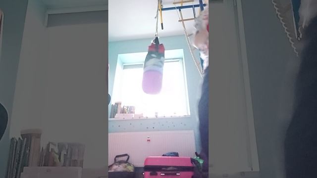 1000001782.mp4