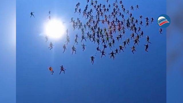 174 человека в небе: установлен новый рекорд группового прыжка с парашютом