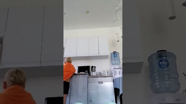 Миша делает эксперимент