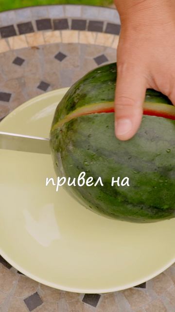 немного еще про прививку арбуза