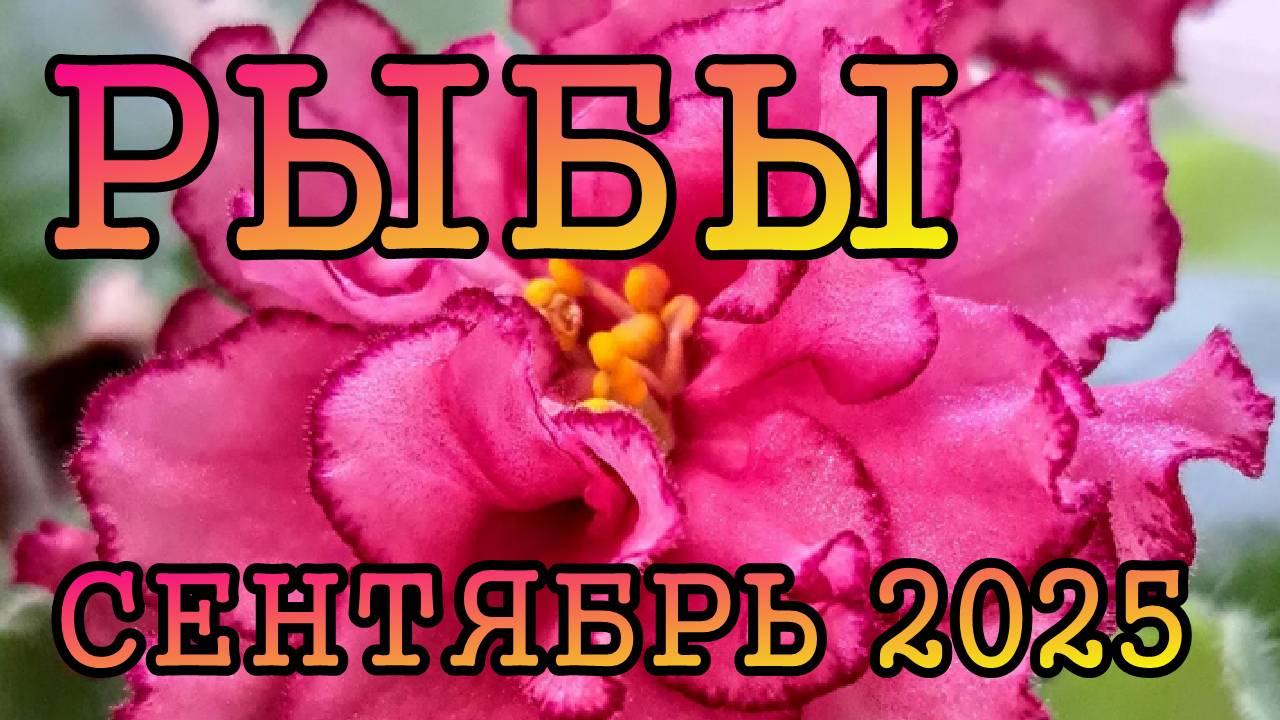 РЫБЫ таро прогноз на СЕНТЯБРЬ 2025 года.