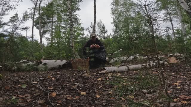 СБОР ГРИБОВ 27 АВГУСТА
