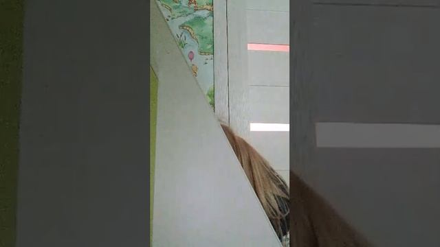 просто 1 дома.