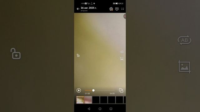 XRecorder_20250827_01.mp4