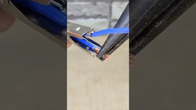 Лайфхак для дома и дачи