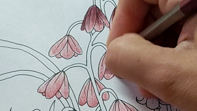 УТРО С РАСКРАСКОЙ Давно ее не раскрашивала