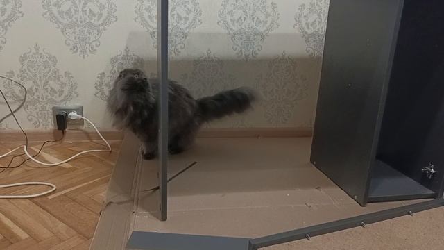 ХОББИ-ВЛОГ. Мой новый уголок для рабкоашивания.