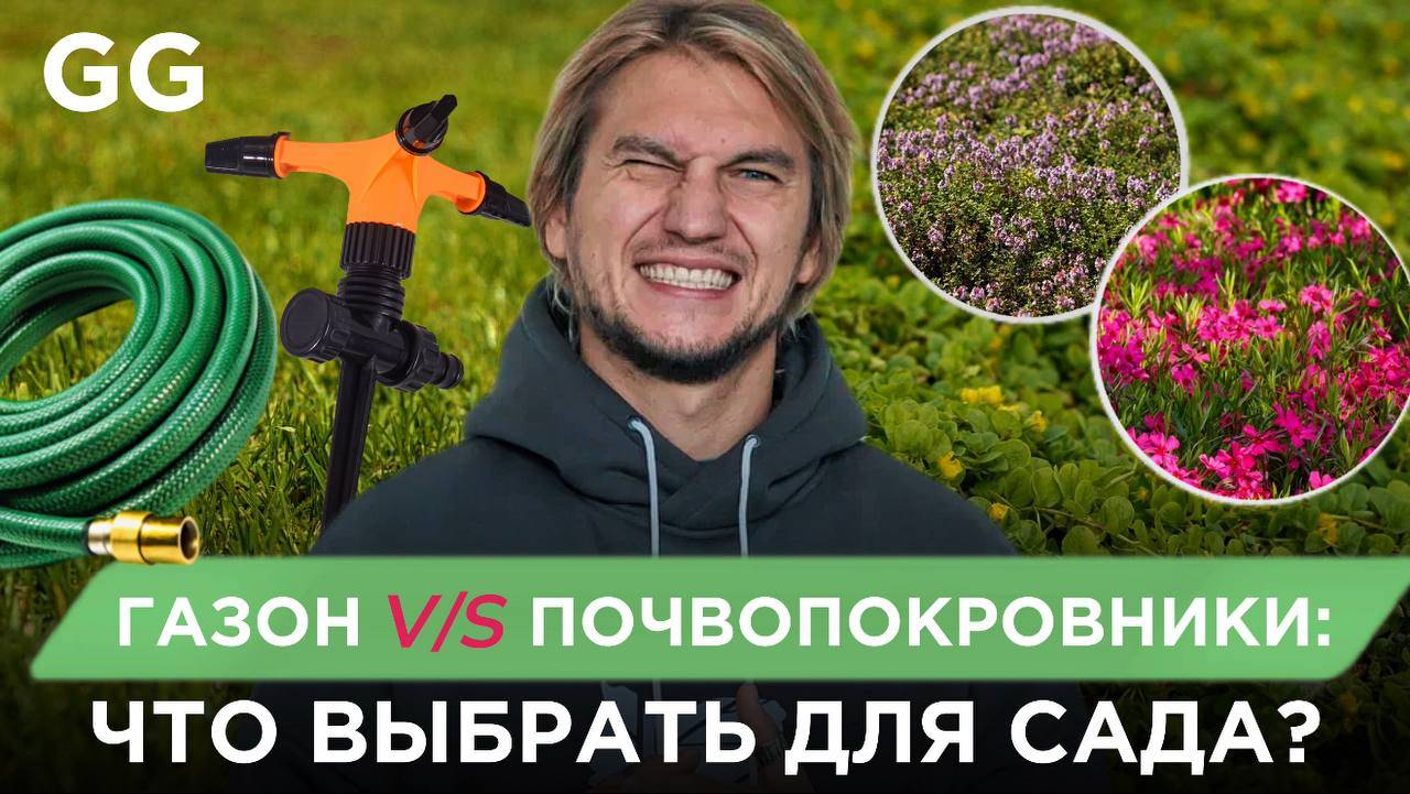 Газон или почвопокровники? Новый взгляд на ландшафтный дизайн участка!