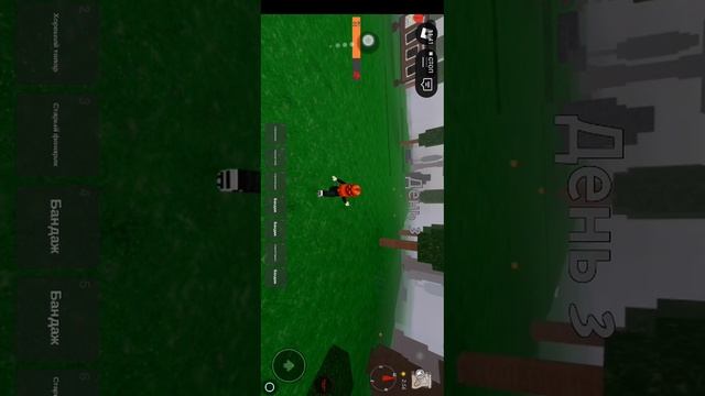 SVID_20250828_091434_1.mp4