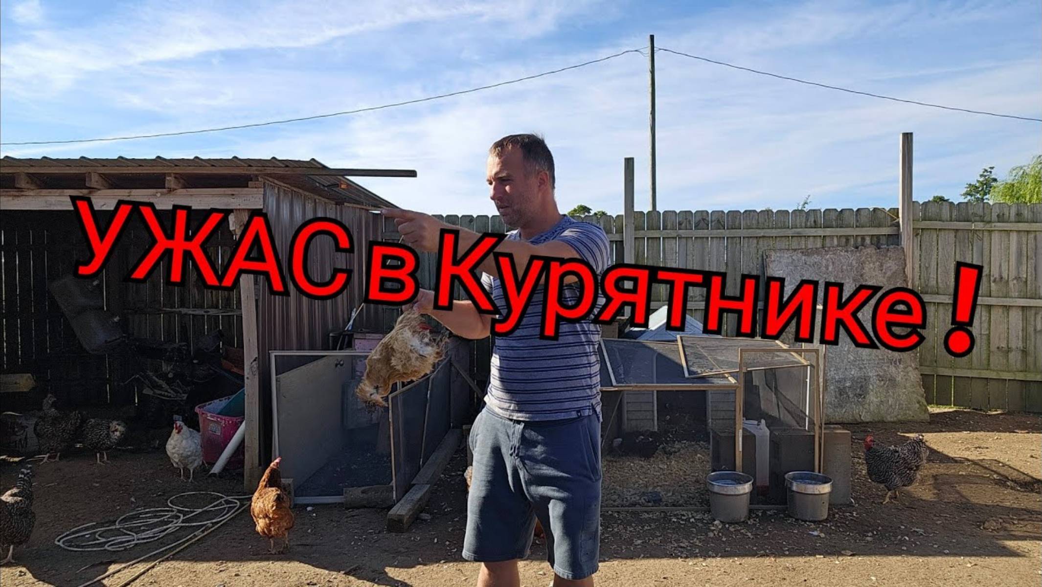 Сельчанка в Америке. НОЧНОЙ УЖАС В КУРЯТНИКЕ ! КТО КУСАЕТ КУРЕЙ !