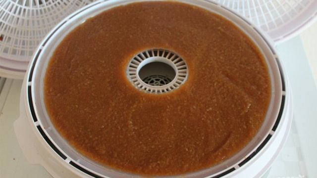 Пастила из яблок в сушилке