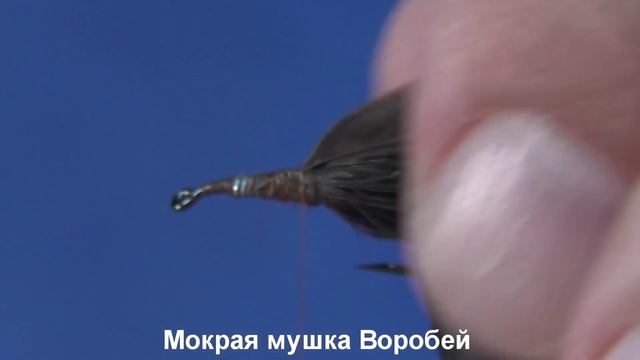 Мокрая мушка Воробей