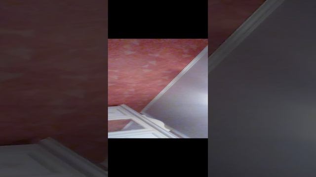 VID_20240901_182236.mp4