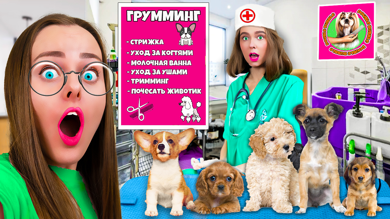 ОТКРЫЛИ СОБСТВЕННУЮ ПАРИКМАХЕРСКУЮ ДЛЯ СОБАК!?Готовимся к будущему питомцу моей сестры