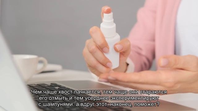 Сальный хвост у кота: что делать?